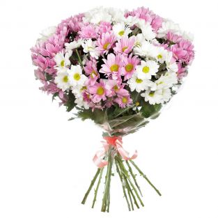 Букет из белых и розовых хризантем - купить с доставкой в Кабанск